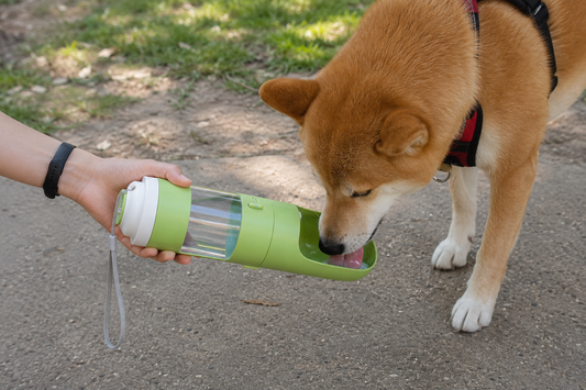 2-in-1 Pet Travel Bottle – Water & Food Container for Dogs