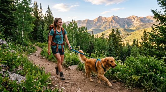 Dog and owner hiking on a scenic nature trail in summer