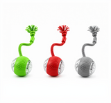Self-Rolling Dog Ball – Interactive USB-C Rechargeable Pet Toy
