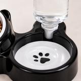 Close-up of the auto water dispenser bottle and paw-print water bowl
