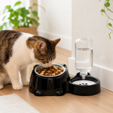 Cat eating from the tilted black feeding station with auto water dispenser at home