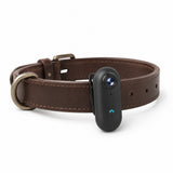 Close-up feature view of the black pet collar camera