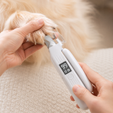 Hand gently using the white pet nail grinder on a calm fluffy dog's paw
