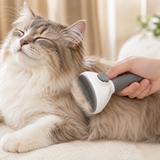 Slicker brush gently grooming a fluffy content cat at home