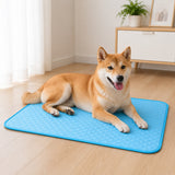 Light cyan self-cooling pet mat shown in use
